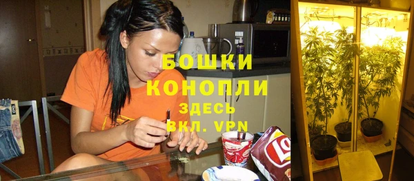 винт Алексин