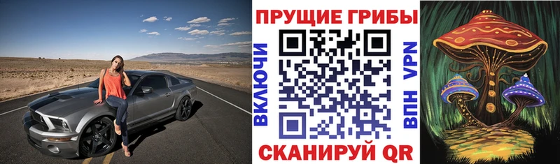 Галлюциногенные грибы мухоморы  хочу наркоту  Щигры 